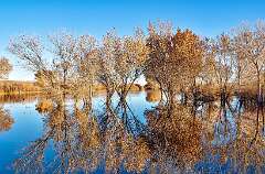 159: BillKirms_2026-55