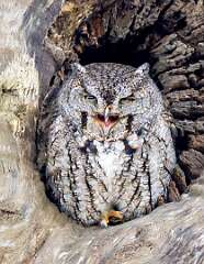 182: BillKirms_2026-6