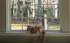 212: BillKirms_2026-65