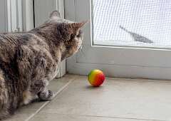 24: BillKirms_2026-67