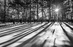 135: BillKirms_2026-74