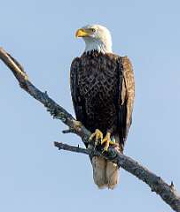 114: BillKirms_2026-9