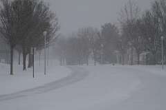 53: DonManfria_2026-10