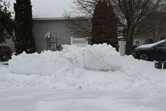 50: DonManfria_2026-18