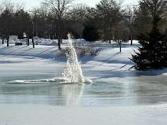 38: DonManfria_2026-29