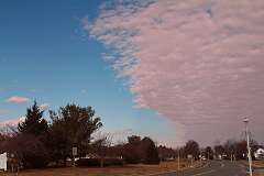 129: DonManfria_2026-5