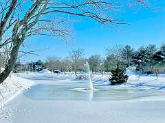 127: WendyTao_2026-1