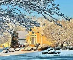 221: WendyTao_2026-10