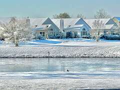 126: WendyTao_2026-11