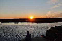 116: WendyTao_2026-12