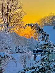 168: WendyTao_2026-5