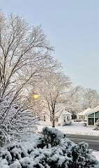 106: WendyTao_2026-8