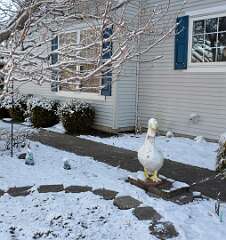 76: Xue-MingBao_2026-10