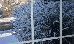 97: Xue-MingBao_2026-7