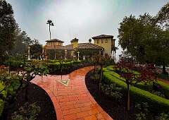 160: AlanToplitz_2026-16