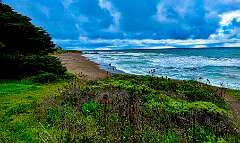 33: AlanToplitz_2026-20