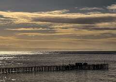 68: AlanToplitz_2026-23