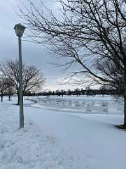 105: BerniceBaline_2026-34