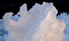 106: BillKirms_2026-85