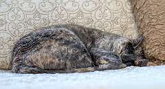 170: BillKirms_2026-86