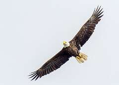 156: BillKirms_2026-93