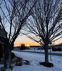 122: CarolAnnManfria_2026-6