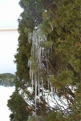 119: DonManfria_2026-39