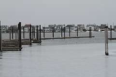 41: DonManfria_2026-47