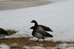 167: DonManfria_2026-48