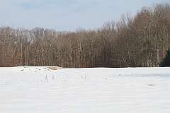 110: DonManfria_2026-49