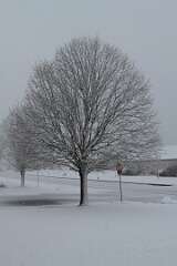 94: DonManfria_2026-52