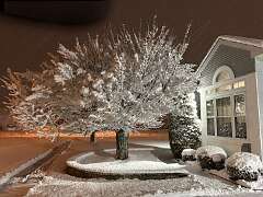 88: DonManfria_2026-53