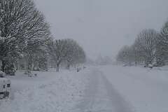 26: DonManfria_2026-54