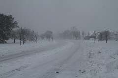 35: DonManfria_2026-55