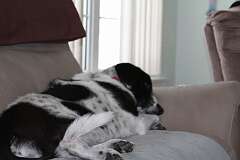 83: DonManfria_2026-57