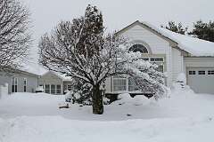 145: DonManfria_2026-60