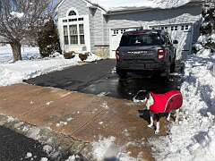 69: DonManfria_2026-62