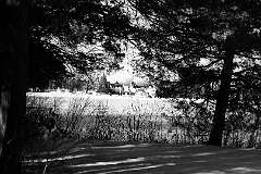 113: JerryPepin_2026-11