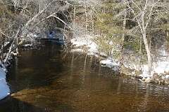 84: MargoPepin_2026-5