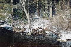 57: MargoPepin_2026-6