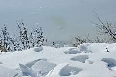 85: MargoPepin_2026-8