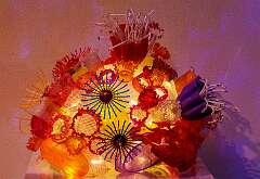 99: MarkShelly_2026-25