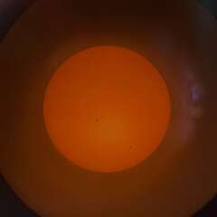 93: MarkShelly_2026-39