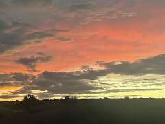 157: MarkShelly_2026-41