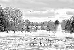 11: WendyTao_2026-22