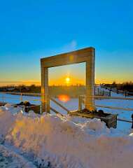 74: WendyTao_2026-28