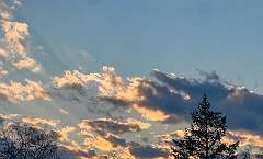 28: Xue-MingBao_2026-39