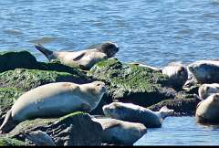 168: jenCurcione_2026-5