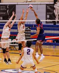 113: MarkShelly_2026-46