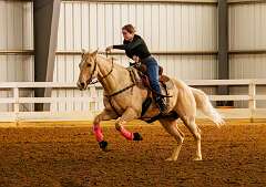 1: BarrelRacingMark-18